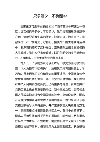 【党史教育演讲稿】只争朝夕，不负韶华