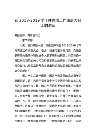 在2018-2019学年共青团工作表彰大会上的讲话