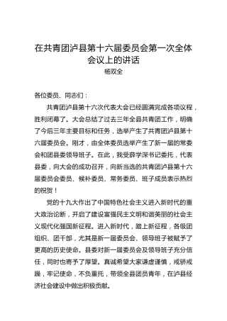 杨双全：在共青团泸县第十六届委员会第一次全体会议上的讲话