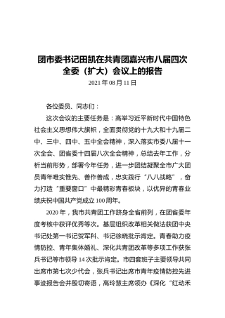 团市委书记田凯在共青团嘉兴市八届四次全委（扩大）会议上的报告（20210811）