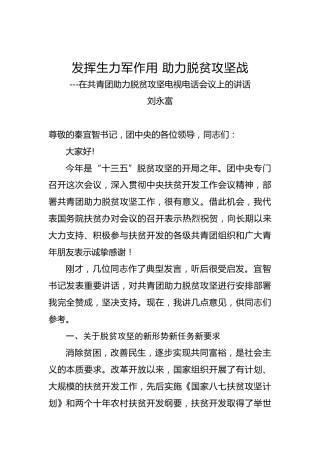 刘永富：在共青团助力脱贫攻坚电视电话会议上的讲话