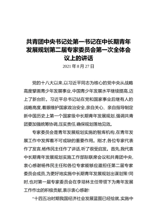 共青团中央团委书记在青年规划会上的讲话