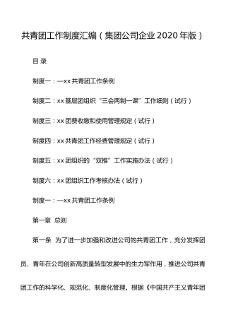 共青团工作制度汇编（2.3万字，集团公司企业2020年版）（团支部制度汇编）