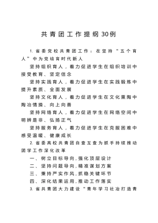 共青团工作提纲30例