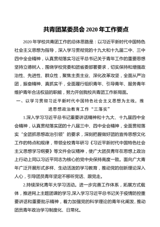 共青团XX委员会2020年工作要点