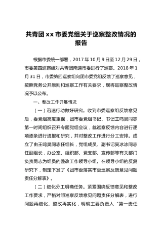 共青团xx市委党组关于巡察整改情况的报告