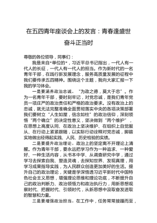 在五四青年座谈会上的发言：青春逢盛世奋斗正当时