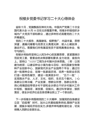 祝楼乡党委书记学习二十大心得体会（20221019）