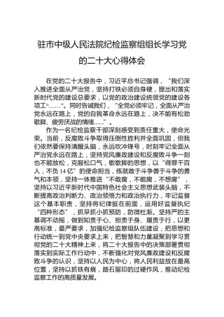 驻市中级人民法院纪检监察组组长学习党的二十大心得体会（20221024）