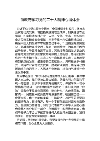 镇政府学习党的二十大精神心得体会（20221017）