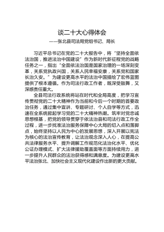 张北县司法局党组书记、局长谈二十大心得体会（20221027）