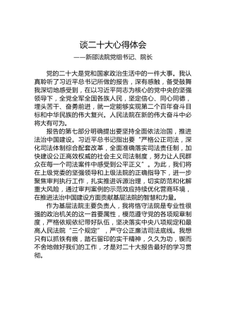 新邵法院党组书记、院长谈二十大心得体会（20221021）