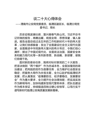 渭南市公安局党委委员、临渭区副区长、临渭分局党委书记、局长谈二十大心得体会（20221018）