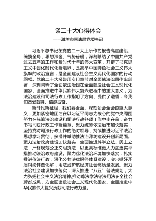 潍坊市司法局党委书记谈二十大心得体会（20221023）