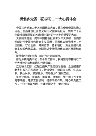 桥北乡党委书记学习二十大心得体会（20221019）