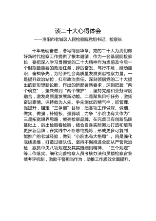 洛阳市老城区人民检察院党组书记、检察长谈二十大心得体会（20221027）
