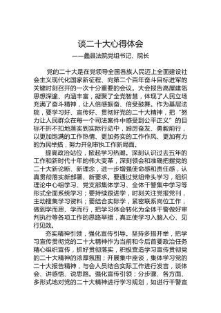 蠡县法院党组书记、院长谈二十大心得体会（20221018）