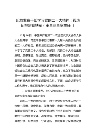 纪检监察干部学习党的二十大精神：锻造纪检监察铁军（审查调查室主任）