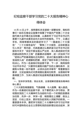 纪检监察干部学习党的二十大报告精神心得体会