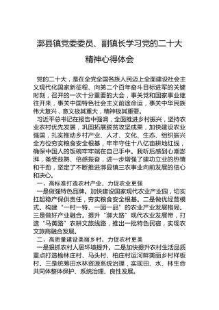 漷县镇党委委员、副镇长学习党的二十大精神心得体会（20221018）