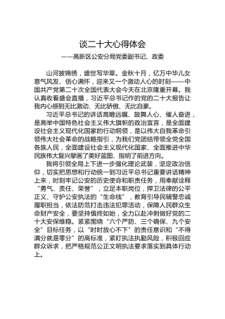 高新区公安分局党委副书记、政委谈二十大心得体会（20221022）