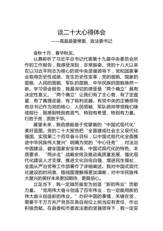 高县县委常委、政法委书记谈二十大心得体会（20221019）