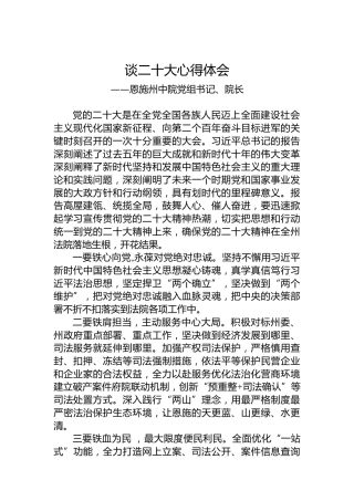 恩施州中院党组书记、院长谈二十大心得体会（20221020）