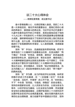 翠屏区委常委、政法委书记谈二十大心得体会（20221019）