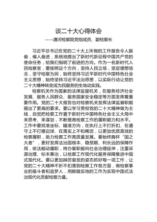 瀍河检察院党组成员、副检察长谈二十大心得体会（20221026）