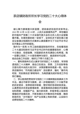 茶店镇财政所所长学习党的二十大心得体会（20221023）