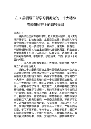 在X县领导干部学习贯彻党的二十大精神专题研讨班上的辅导提纲（盛会）