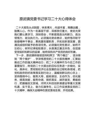 原武镇党委书记学习二十大心得体会（20221019）