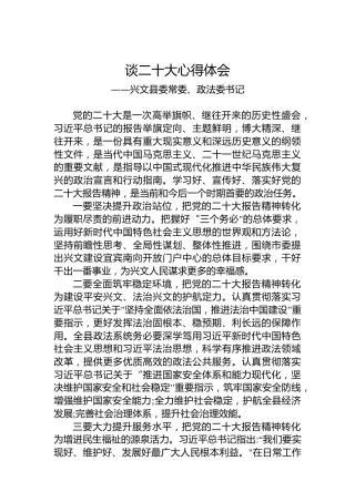 兴文县委常委、政法委书记谈二十大心得体会（20221021）