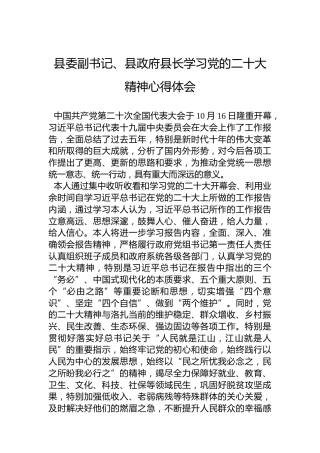 县委副书记、县政府县长学习党的二十大精神心得体会（20221024）
