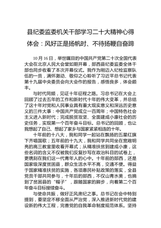 县纪委监委机关干部学习二十大精神心得体会：风好正是扬帆时、不待扬鞭自奋蹄（20221019）