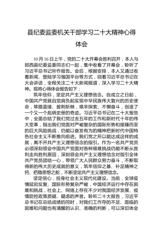 县纪委监委机关干部学习二十大精神心得体会（20221019）