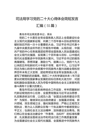司法局学习党的二十大心得体会简短发言汇编（55篇）