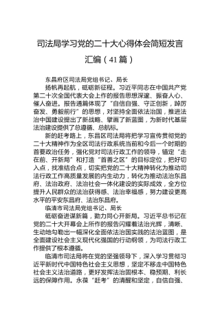 司法局学习党的二十大心得体会简短发言汇编（41篇）