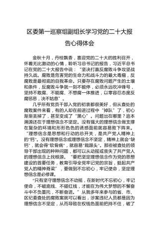 区委第一巡察组副组长学习党的二十大报告心得体会