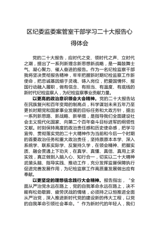 区纪委监委案管室干部学习二十大报告心得体会