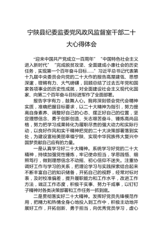 宁陕县纪委监委党风政风监督室干部二十大心得体会（20221019）