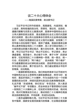 南溪区委常委、政法委书记谈二十大心得体会（20221019）