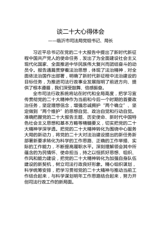 临沂市司法局党组书记、局长谈二十大心得体会（20221023）