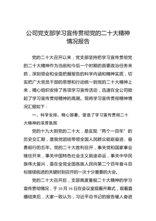 公司党支部学习宣传贯彻党的二十大精神情况报告（盛会）