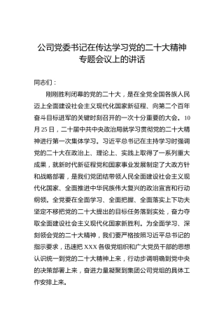 公司党委书记在传达学习党的二十大精神专题会议上的讲话（盛会）