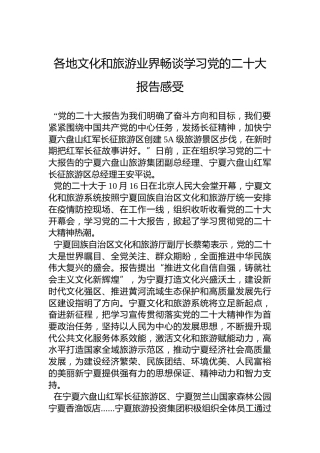 各地文化和旅游业界畅谈学习党的二十大报告感受心得体会（20221021）