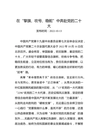 二十大学习心得体会：在“擎旗、吹号、稳舵”中奔赴党的二十大