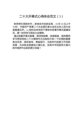 二十大开幕式心得体会范文（3）