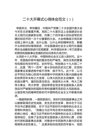二十大开幕式心得体会范文（1）