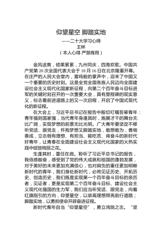 二十大报告心得体会：仰望星空脚踏实地